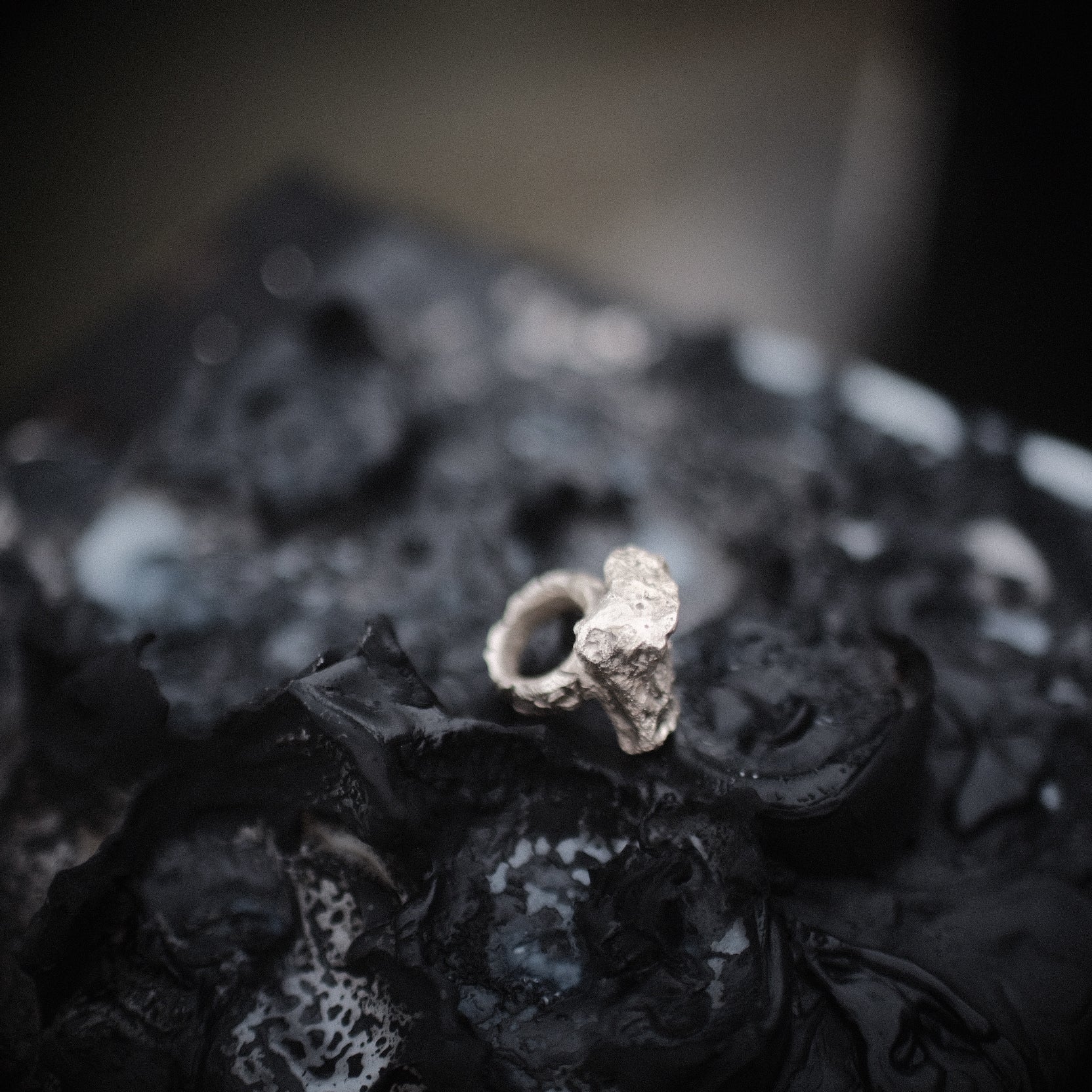 Rock from Mont Blanc, 2024
