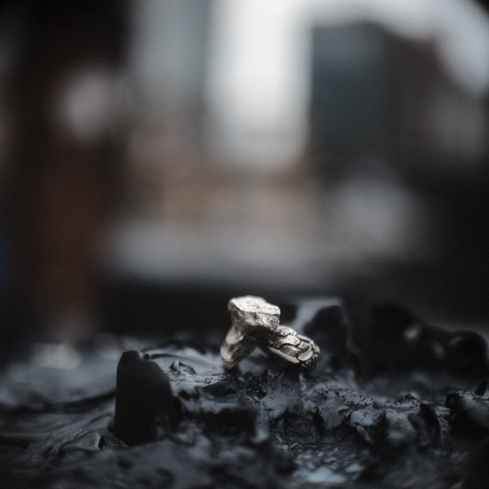 Rock from Mont Blanc, 2024